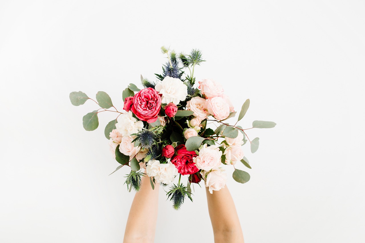 Low Maintenance Indoor Plants for Effortless Home Greenery